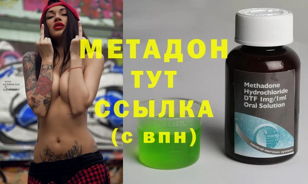 гидра Алексин