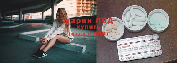 гидра Алексин