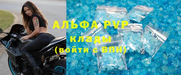 гидра Алексин