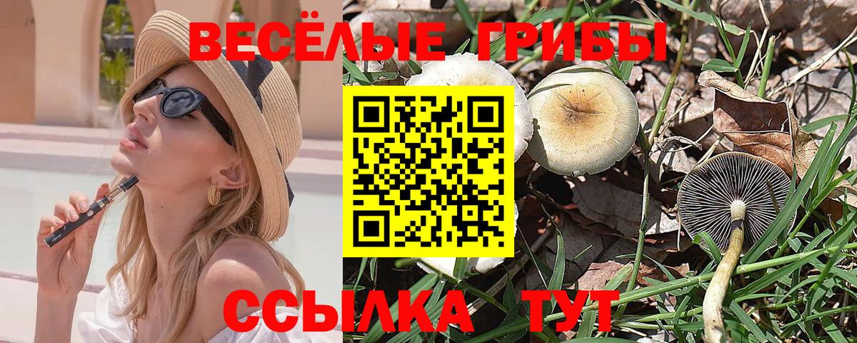 Псилоцибиновые грибы GOLDEN TEACHER  Вход с VPN  Переславль-Залесский 
