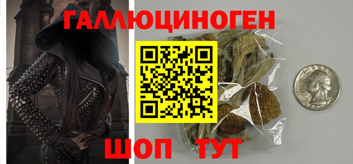 Галлюциногенные грибы MAGIC MUSHROOMS Переславль-Залесский
